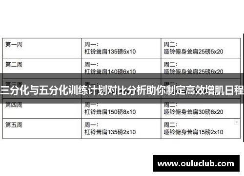 三分化与五分化训练计划对比分析助你制定高效增肌日程