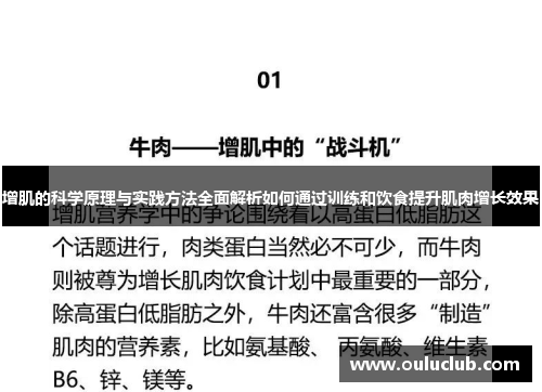 增肌的科学原理与实践方法全面解析如何通过训练和饮食提升肌肉增长效果